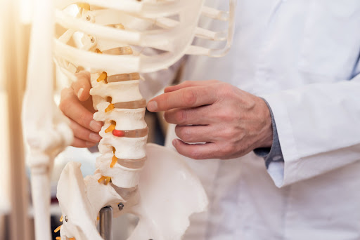 a man in a doctor's jacket points at the spine of a skeleton